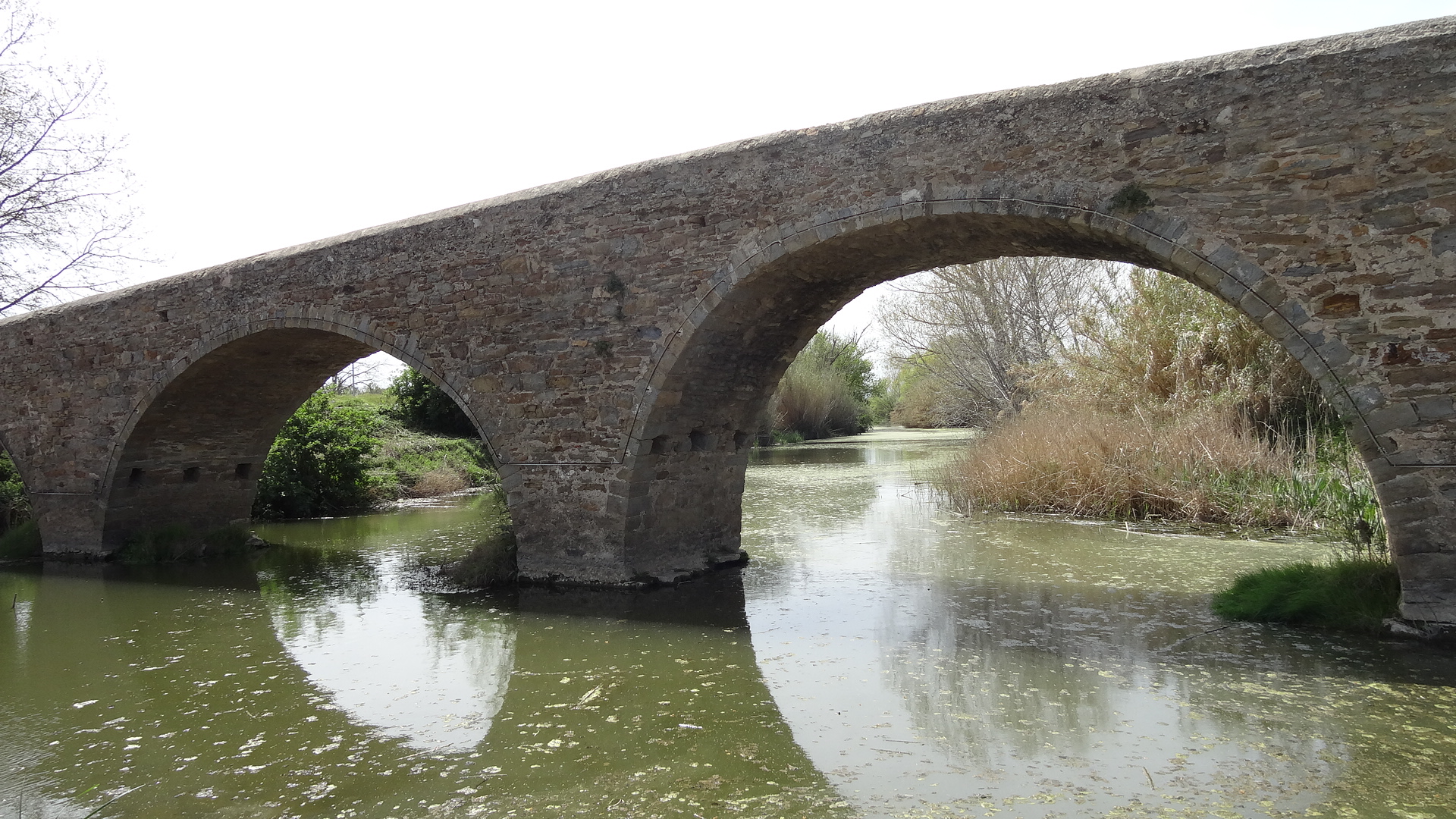 pont medieval de gualta