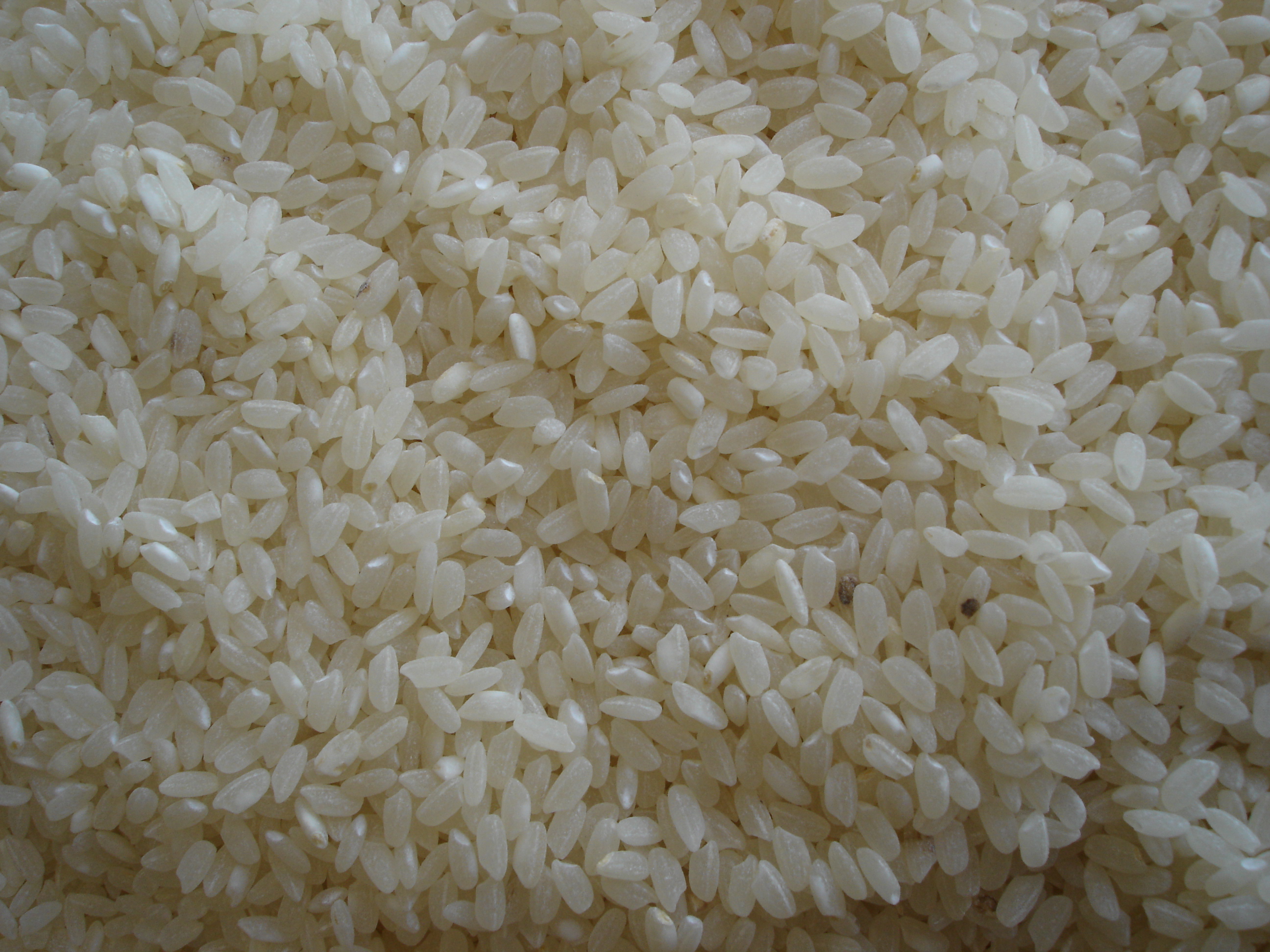 Pals rice