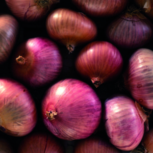 Figueres onion