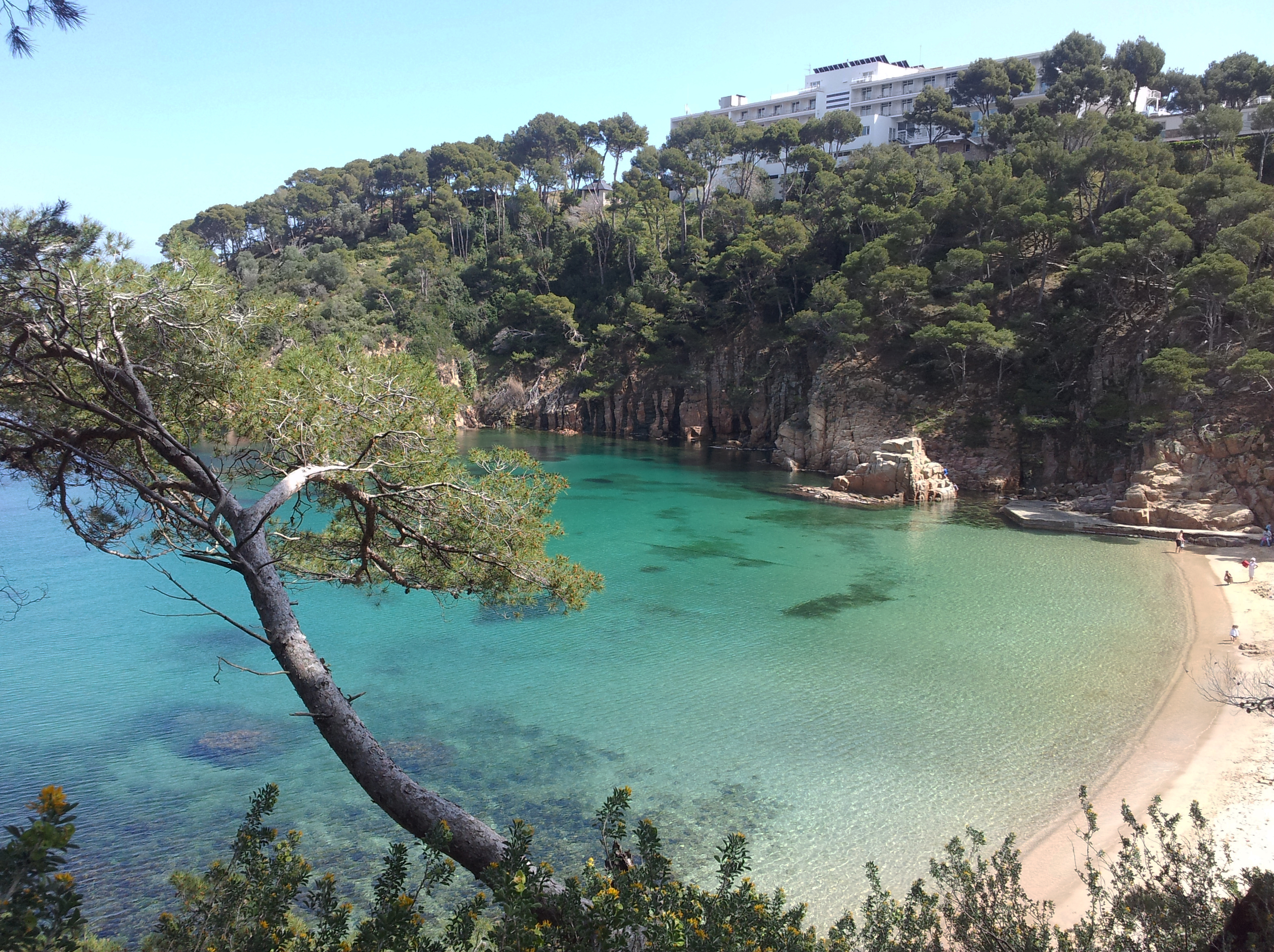 Aiguablava. primer es veu un veler al mig del mar i a la dreta una mica de sorra de la platja