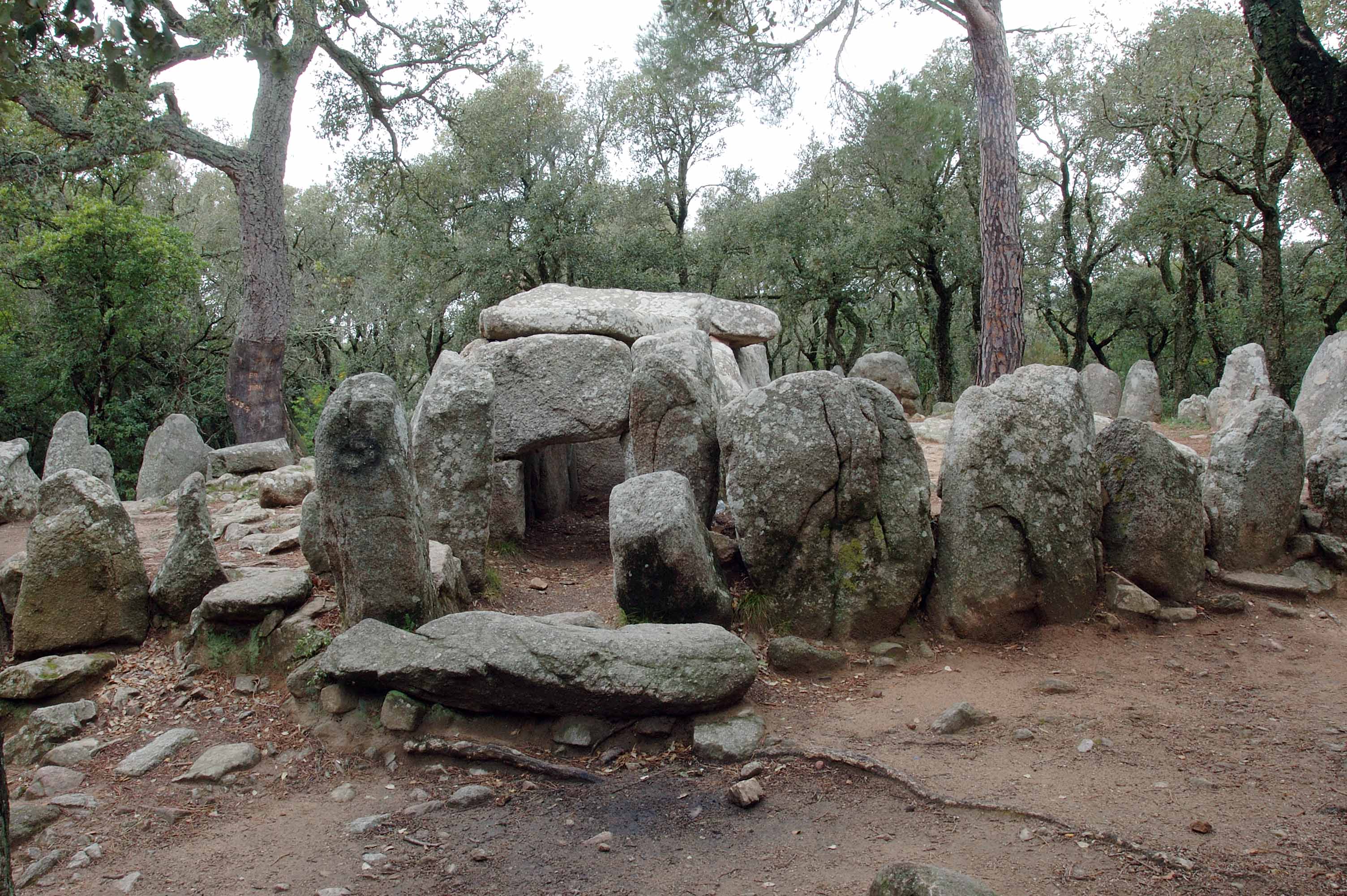 La Cova d'en Daina