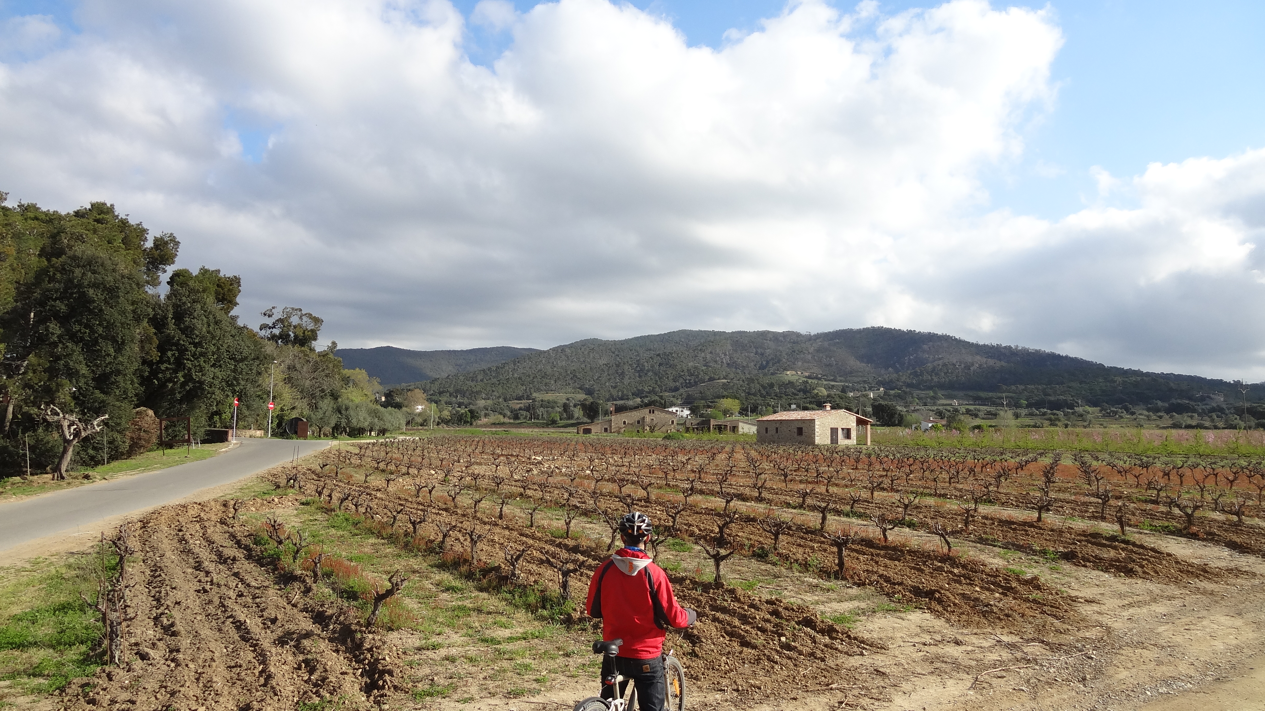 noia en bicicleta que va per un camí asfaltat cap a Peratallada