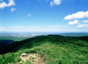 Puig d'Arques