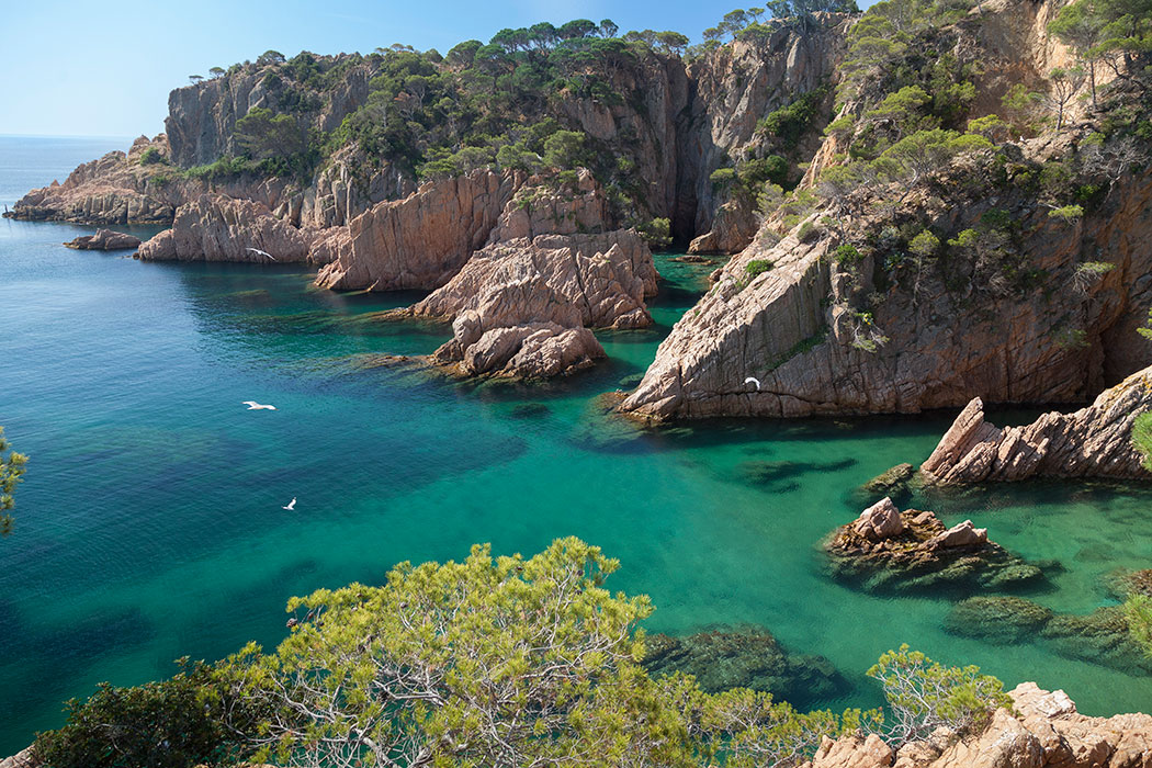 Cala d’es Cranc, Cala del Peix i Cala dels Mussols