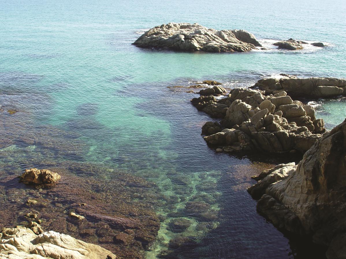 Cala de la Roca dels Musclos