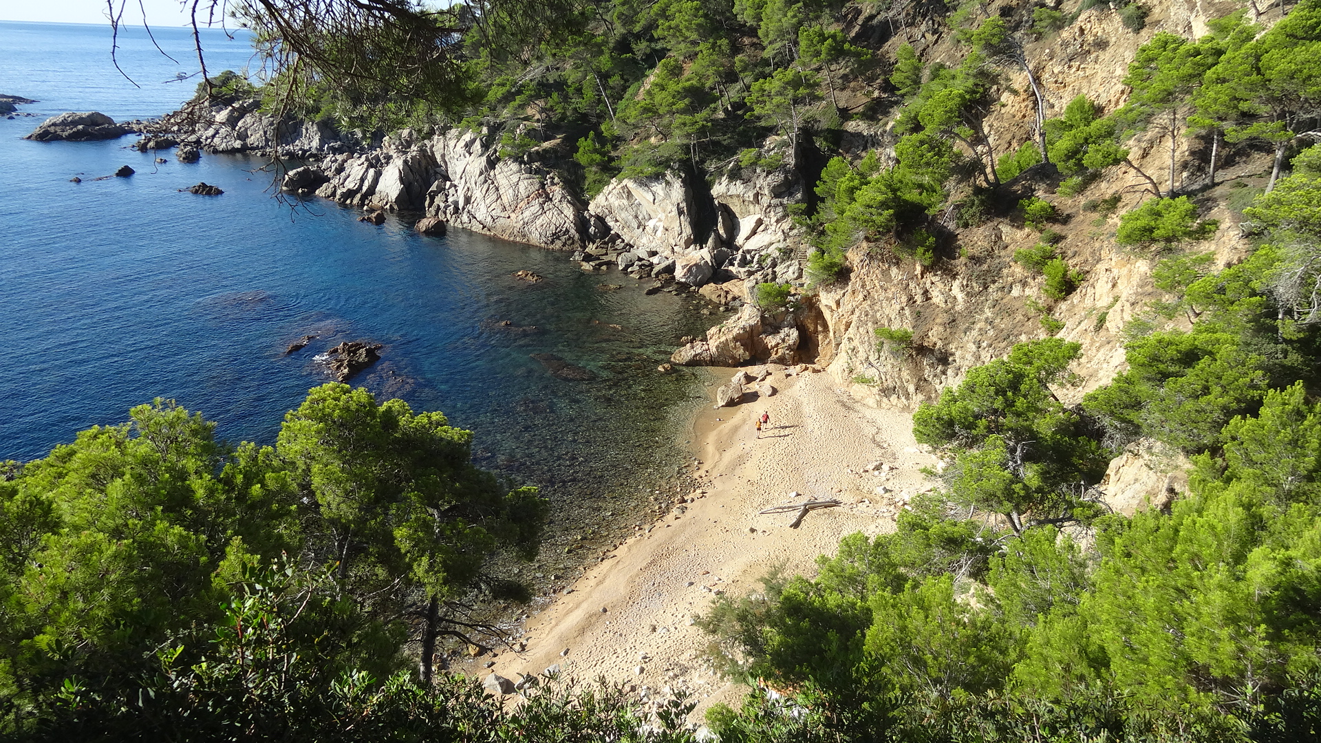 Cala del Crit