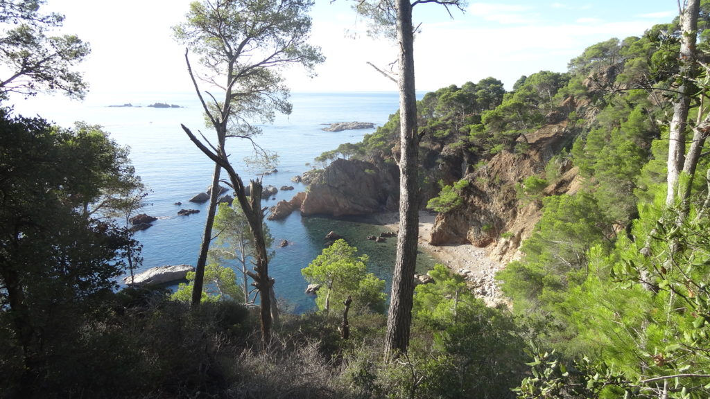 Cala del Vedell