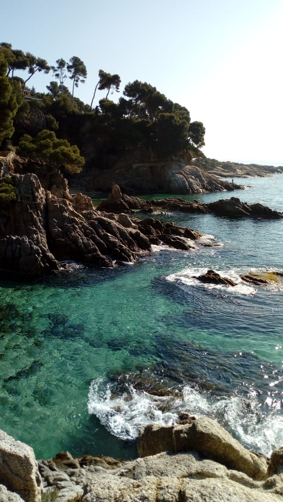 Cala dels Esculls