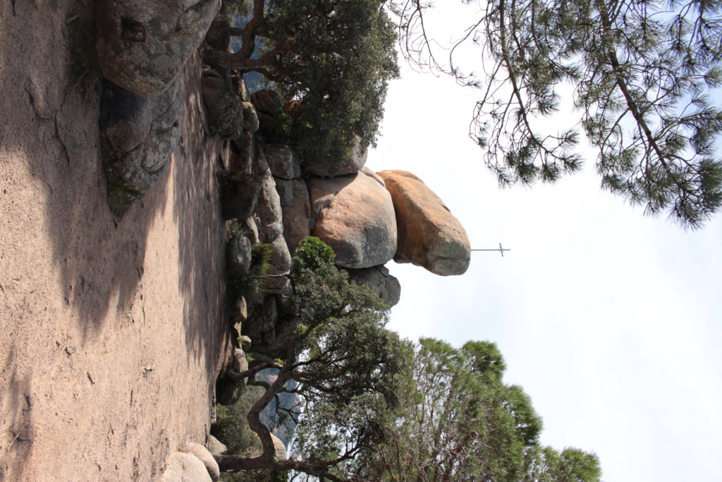 Route 7: Trip though the Ardenya range