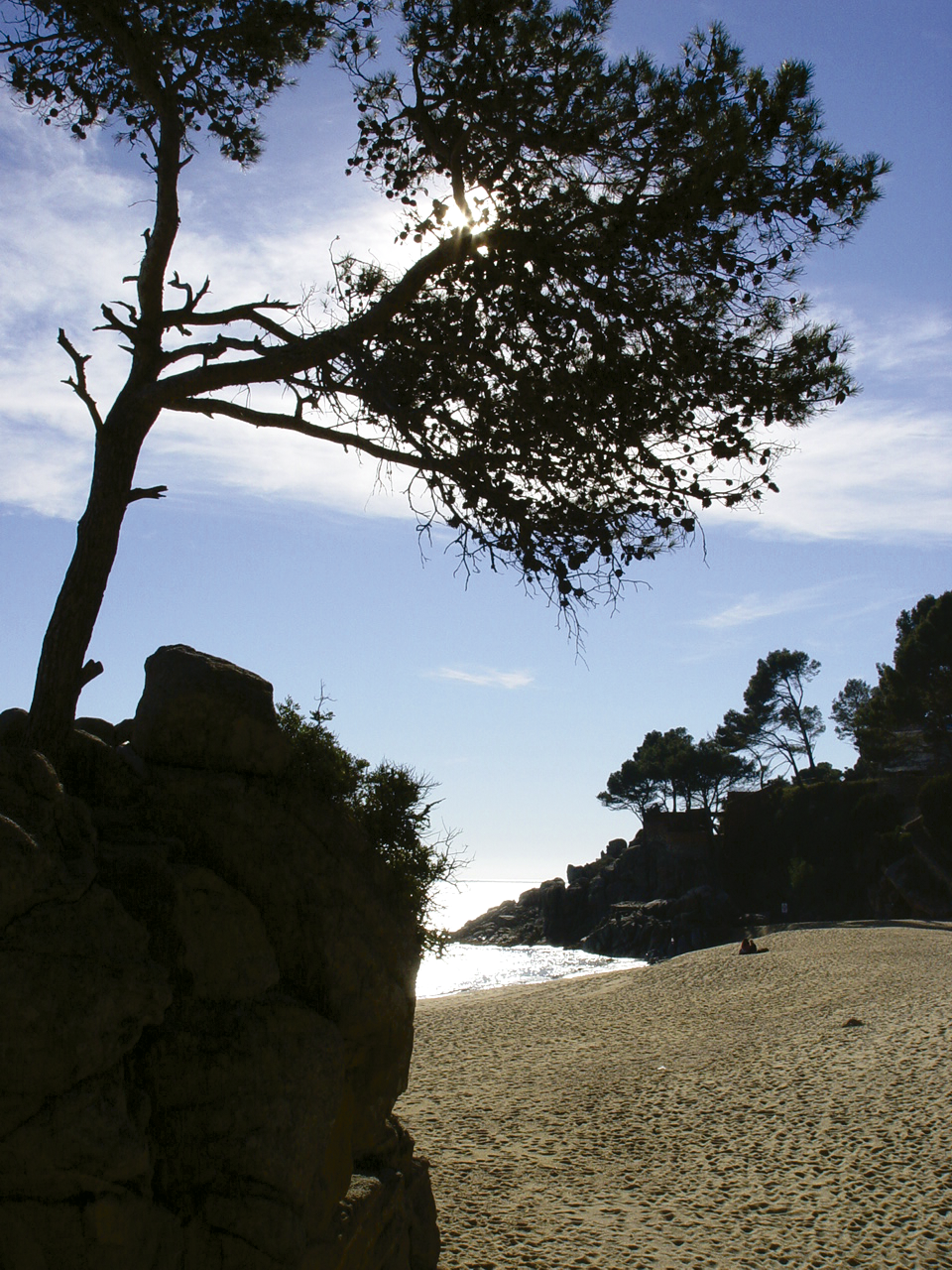 Platja de Ses Torretes