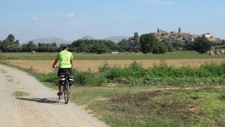 Parc Natural del Montgrí, les illes medes i el baix ter. Al fons de la imatge les illes medes i a primer pla aigua i vegetació en mig de l'aigua