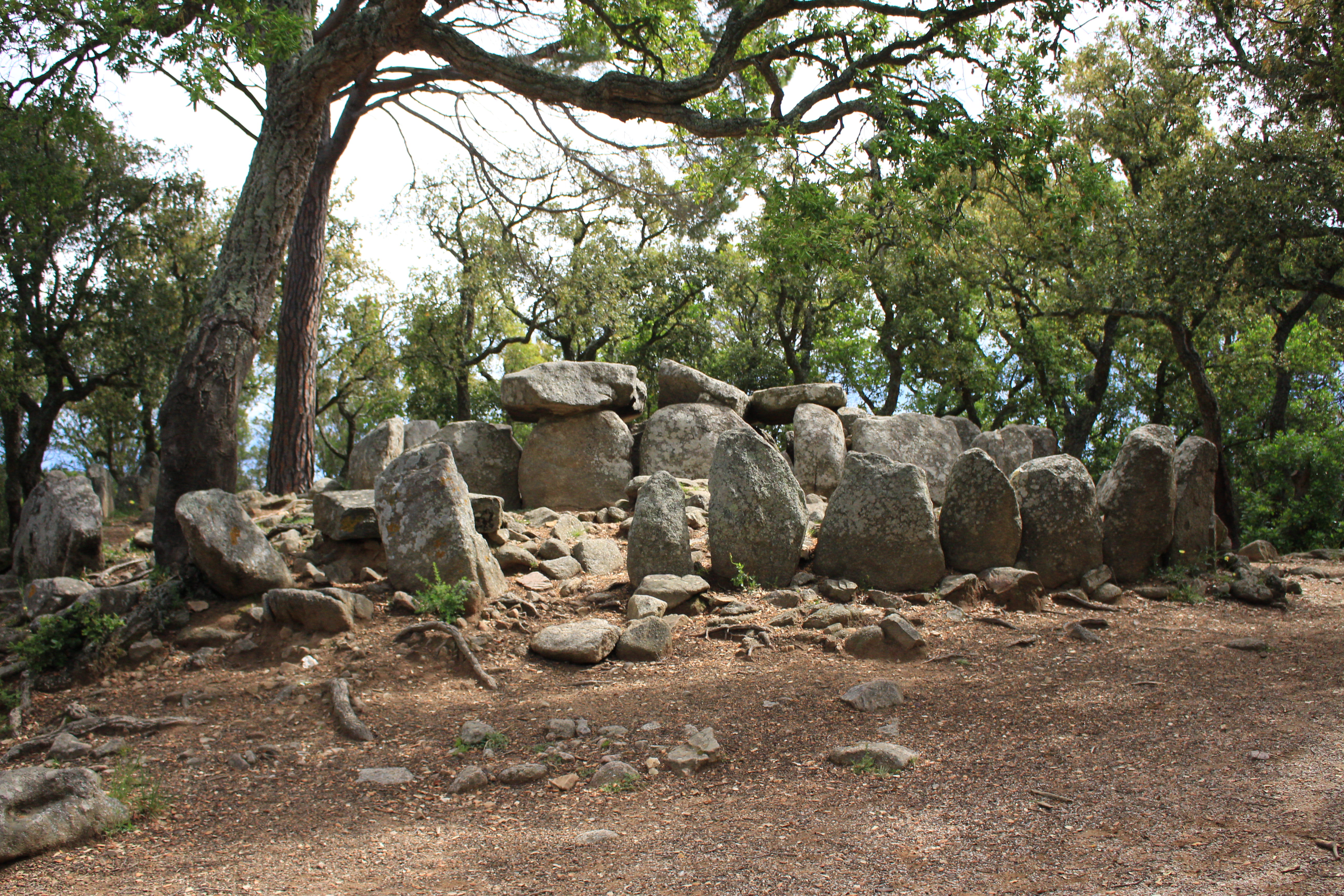 Dolmen de la cova d'en Daina. Santa Cristina d'Aro