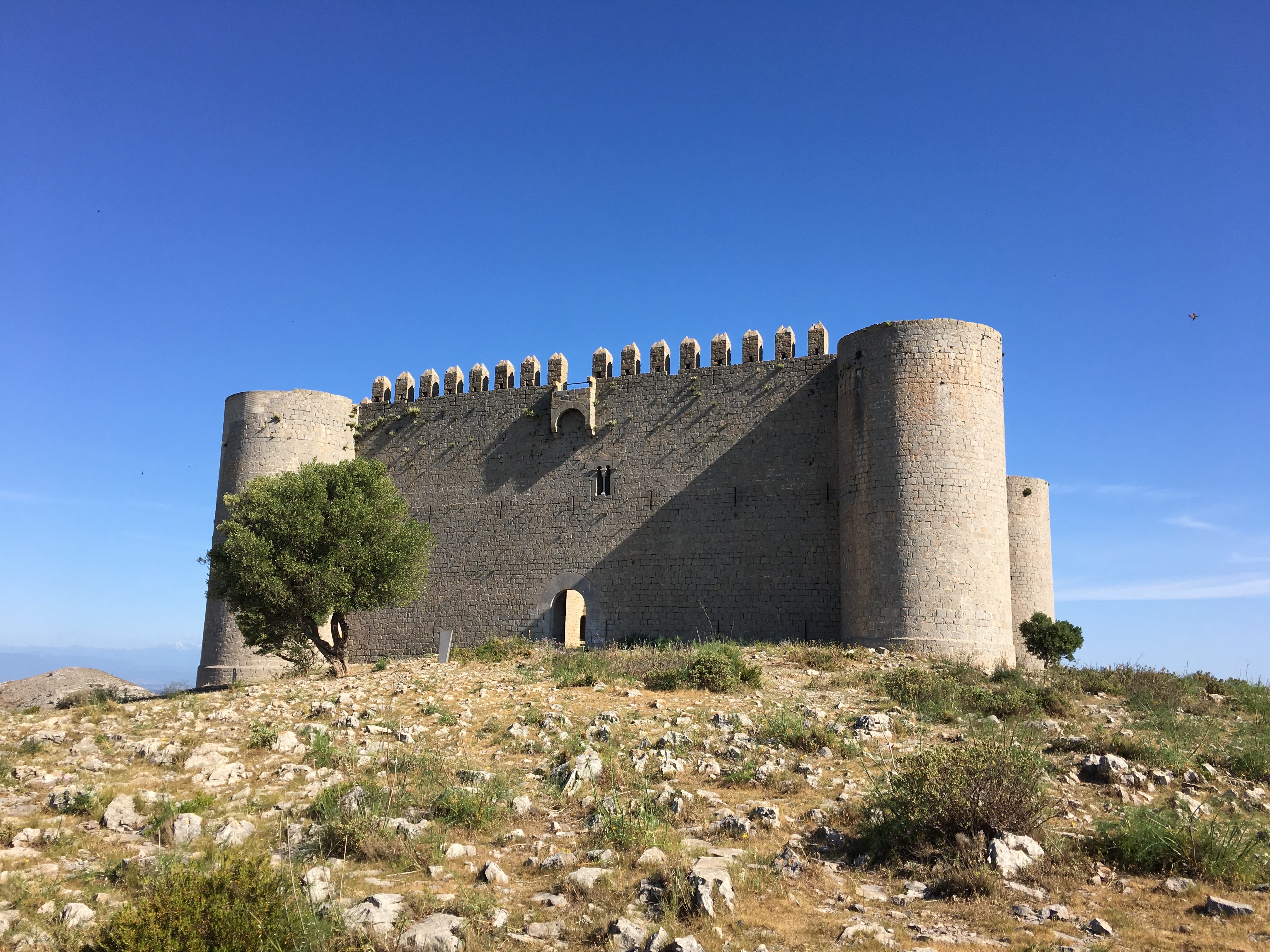 castell del montgrí