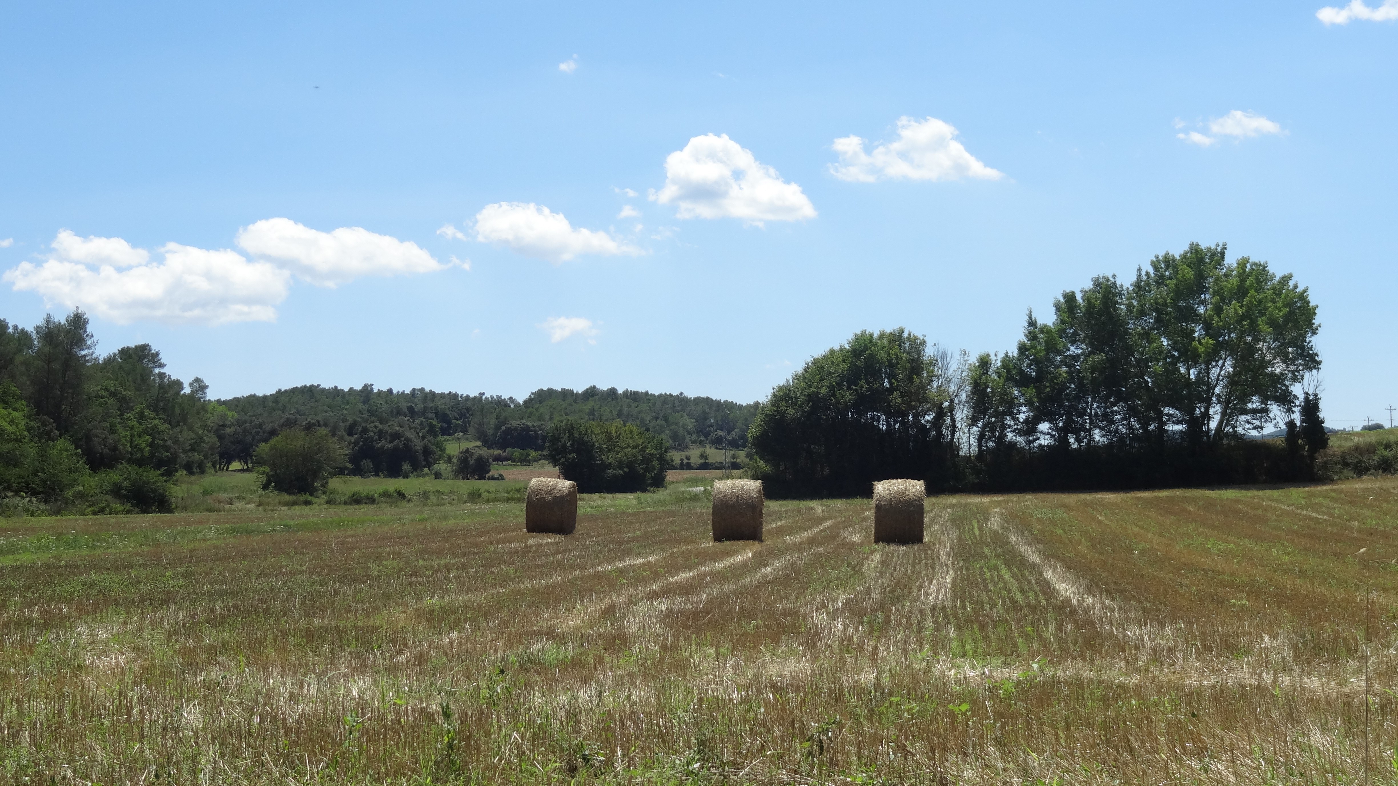 camp amb tres bales de pala, paisatge típic empordanès