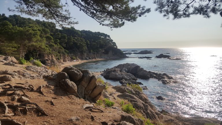 Illes Medes 