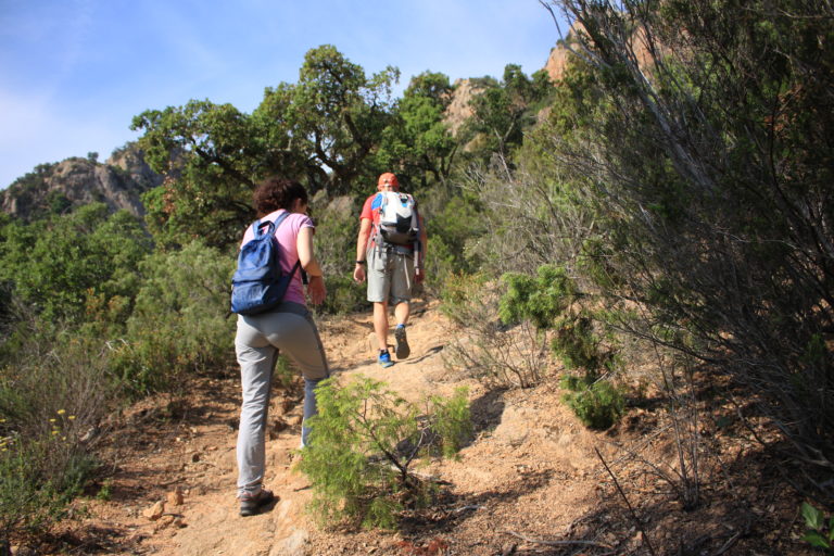 Parc Natural del Montgrí, les illes medes i el baix ter. Al fons de la imatge les illes medes i a primer pla aigua i vegetació en mig de l'aigua