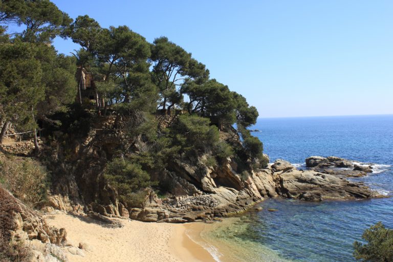 vista des del bosc del Montgrí