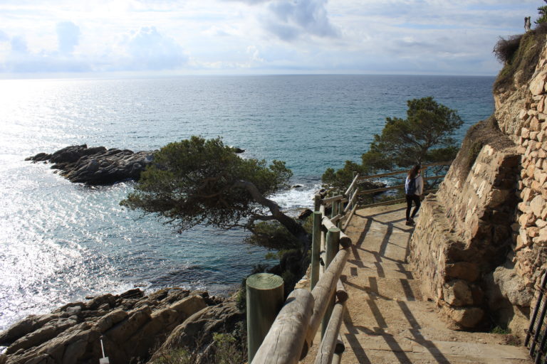 Parc Natural del Montgrí, les illes medes i el baix ter. Al fons de la imatge les illes medes i a primer pla aigua i vegetació en mig de l'aigua