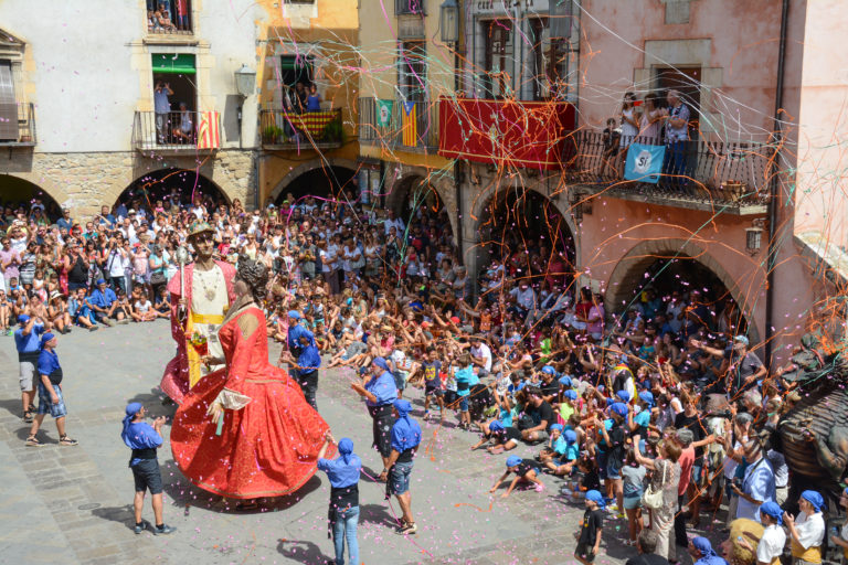 Camps d'arròs inundats a primer terme i amb el Montgrí de fons