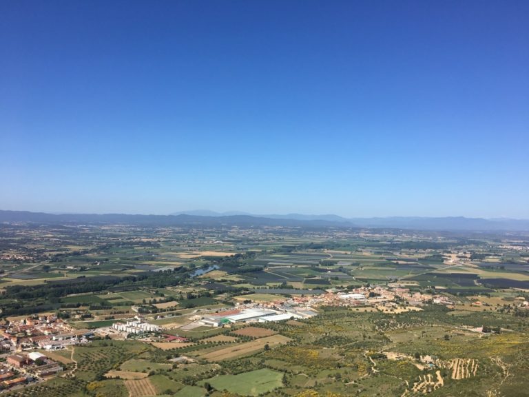 vista des del bosc del Montgrí