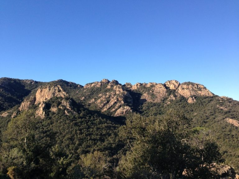 vista des del bosc del Montgrí