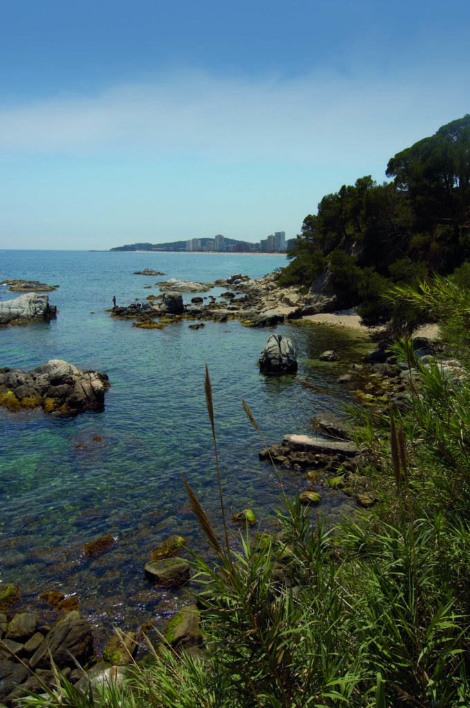 Cala dels Canyers