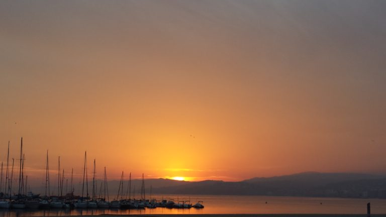 vista de la façana litoral de Palamós amb l'església al fons i amb barques de pesca i d'oci amarrades al port a primer pla