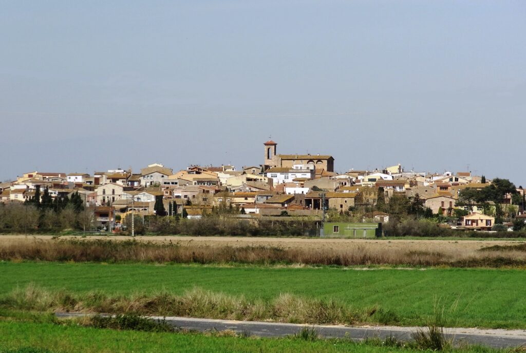 noia en bicicleta que va per un camí asfaltat cap a Peratallada