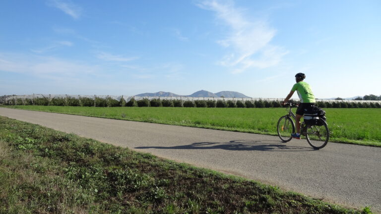 noia en bicicleta que va per un camí asfaltat cap a Peratallada