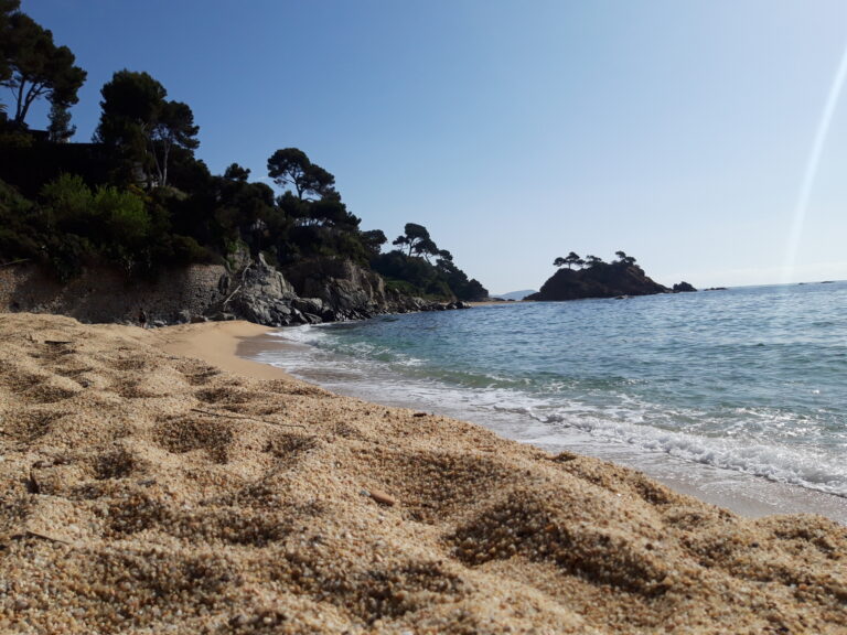 Parc Natural del Montgrí, les illes medes i el baix ter. Al fons de la imatge les illes medes i a primer pla aigua i vegetació en mig de l'aigua