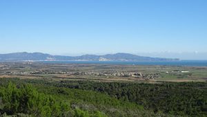 vista de la plana de l'empordà des del puig segalar