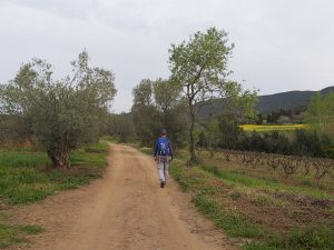 noi caminant per un camí amb vinyes a la seva dreta